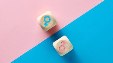 Trans 101 Crash Course